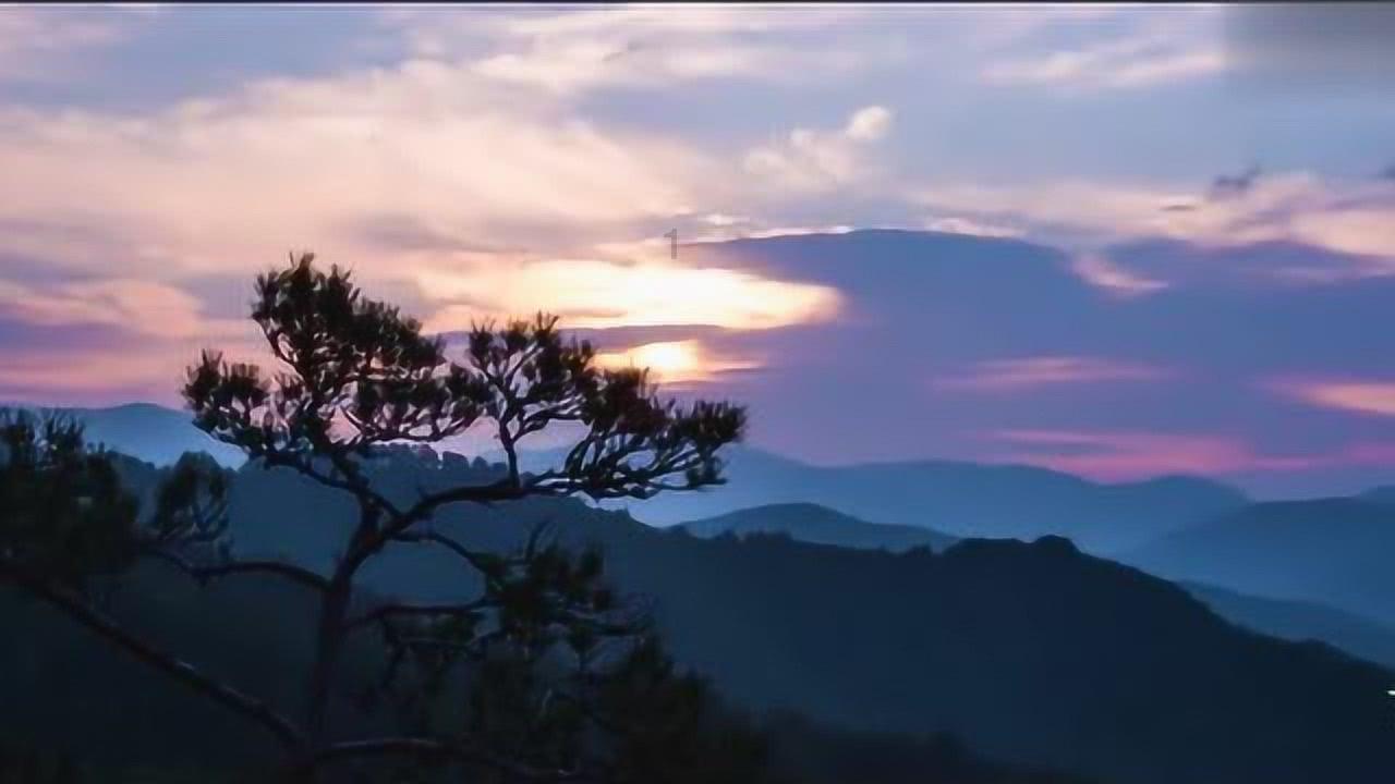 逃出白海豹洞