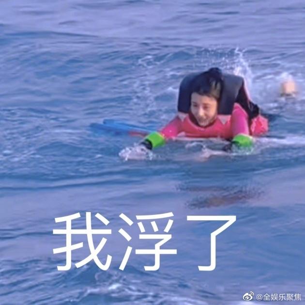 动物帮帮忙保卫家园