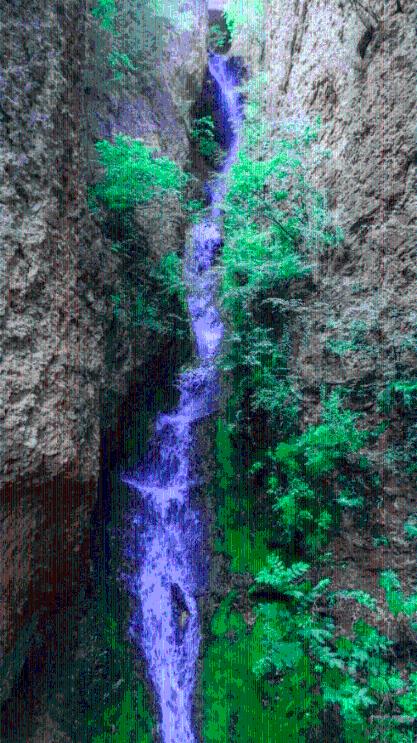 泡沫森林